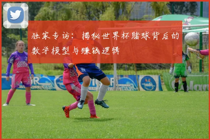 独家专访:揭秘世界杯赌球背后的数学模型与赚钱逻辑