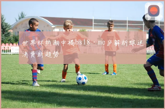 世界杯热潮中褐bs18·me庐解析球迷消费新趋势