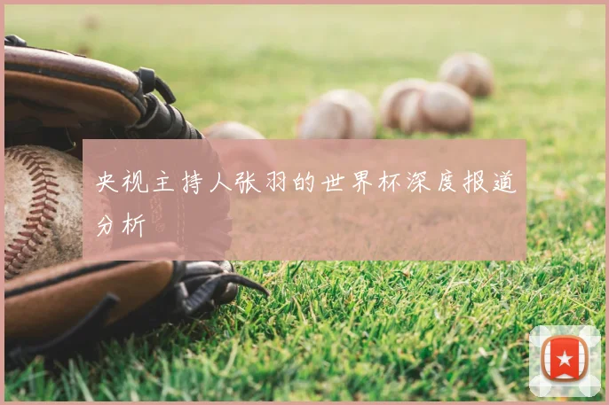 央视主持人张羽的世界杯深度报道分析