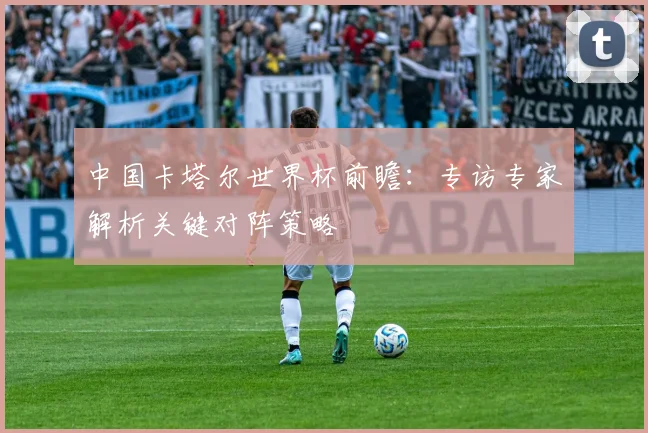 中国卡塔尔世界杯前瞻:专访专家解析关键对阵策略