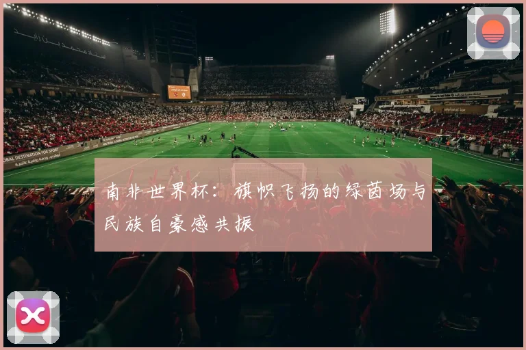 南非世界杯：旗帜飞扬的绿茵场与民族自豪感共振