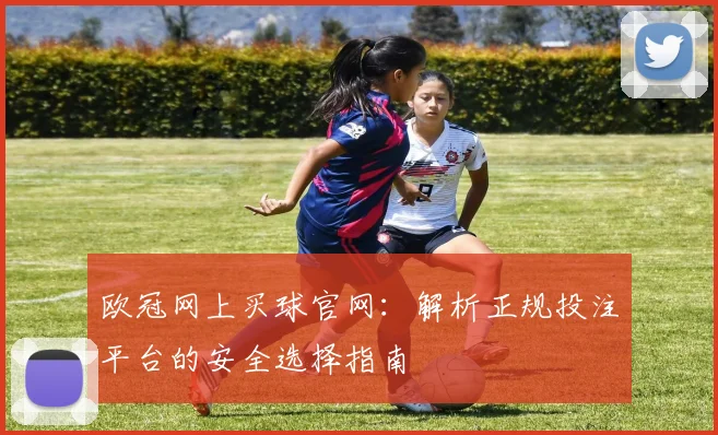 欧冠网上买球官网：解析正规投注平台的安全选择指南