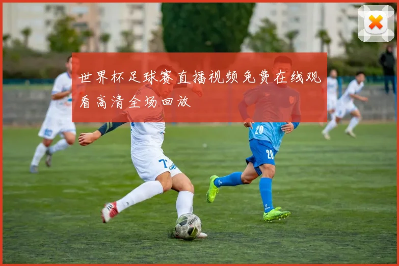 世界杯足球赛直播视频免费在线观看高清全场回放