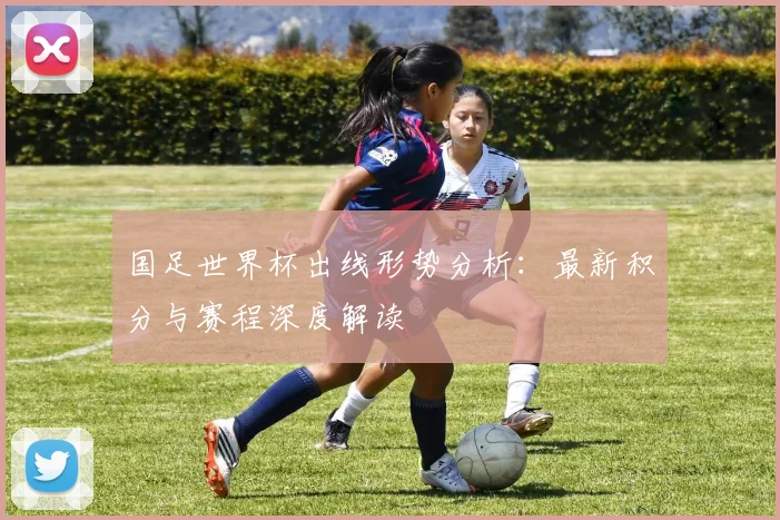 国足世界杯出线形势分析：最新积分与赛程深度解读